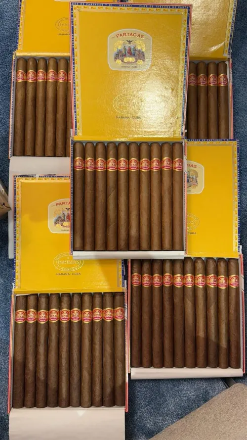 Hello ladies  by Abdalla_Alhammadi