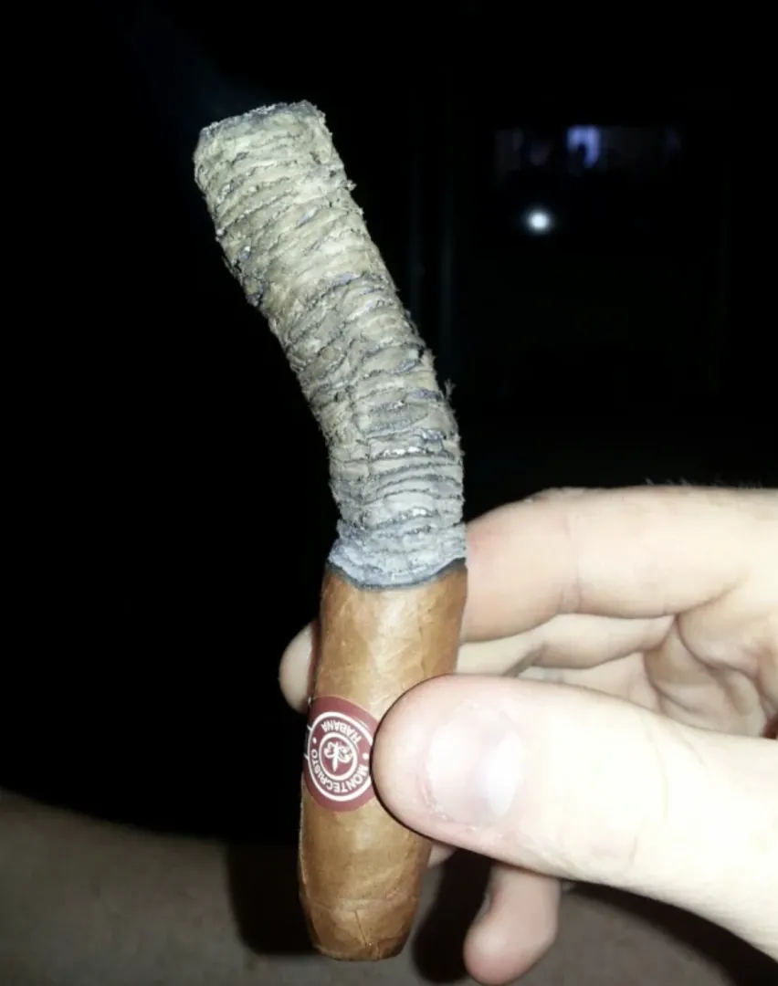 Help me understand the long ash efforts posted by brownieking_us