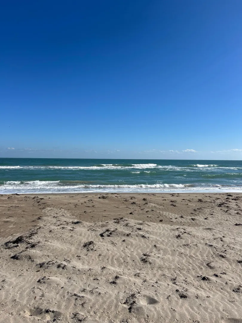 here now posted by southbay1984