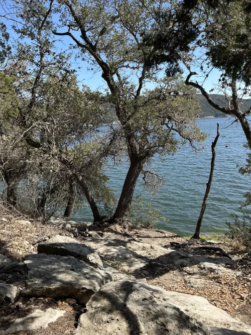 Here now by Pretend-Delivery-348