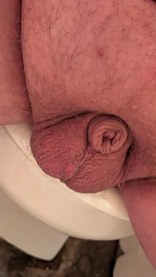 He's hiding, who wants to help bring him out? by DadBodBane93