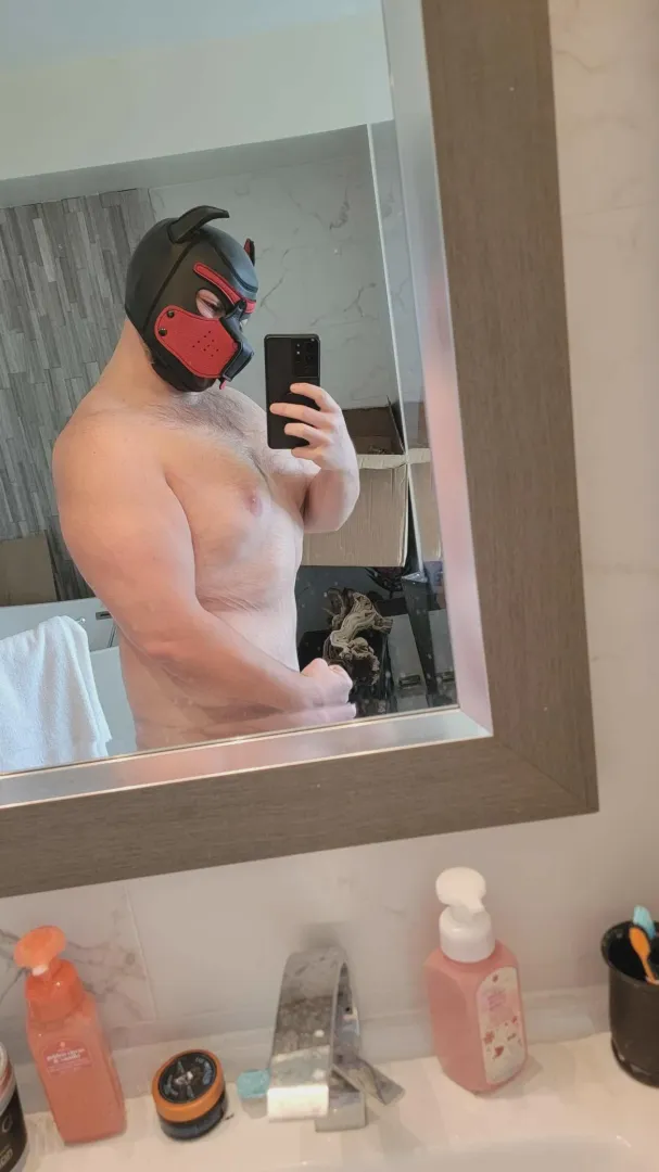 Hey pups. posted by Ryguyfun