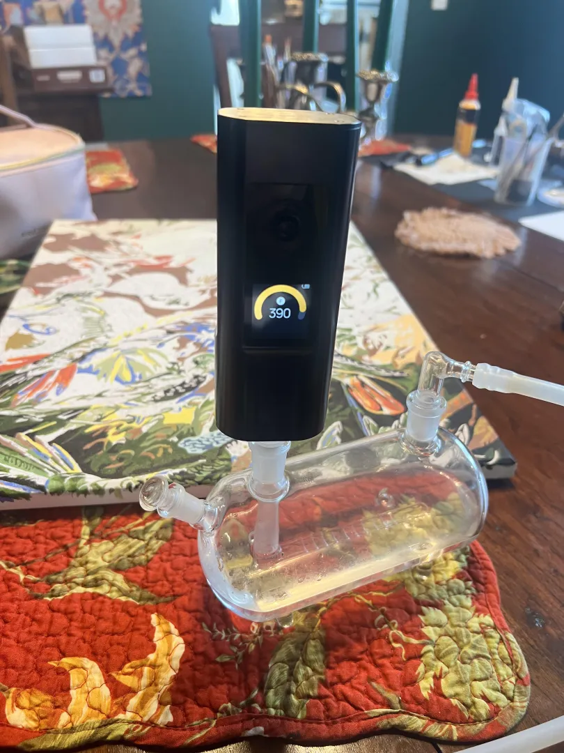 Hey terp nerds! Is there a minty terp? posted by AnastasiaNo70