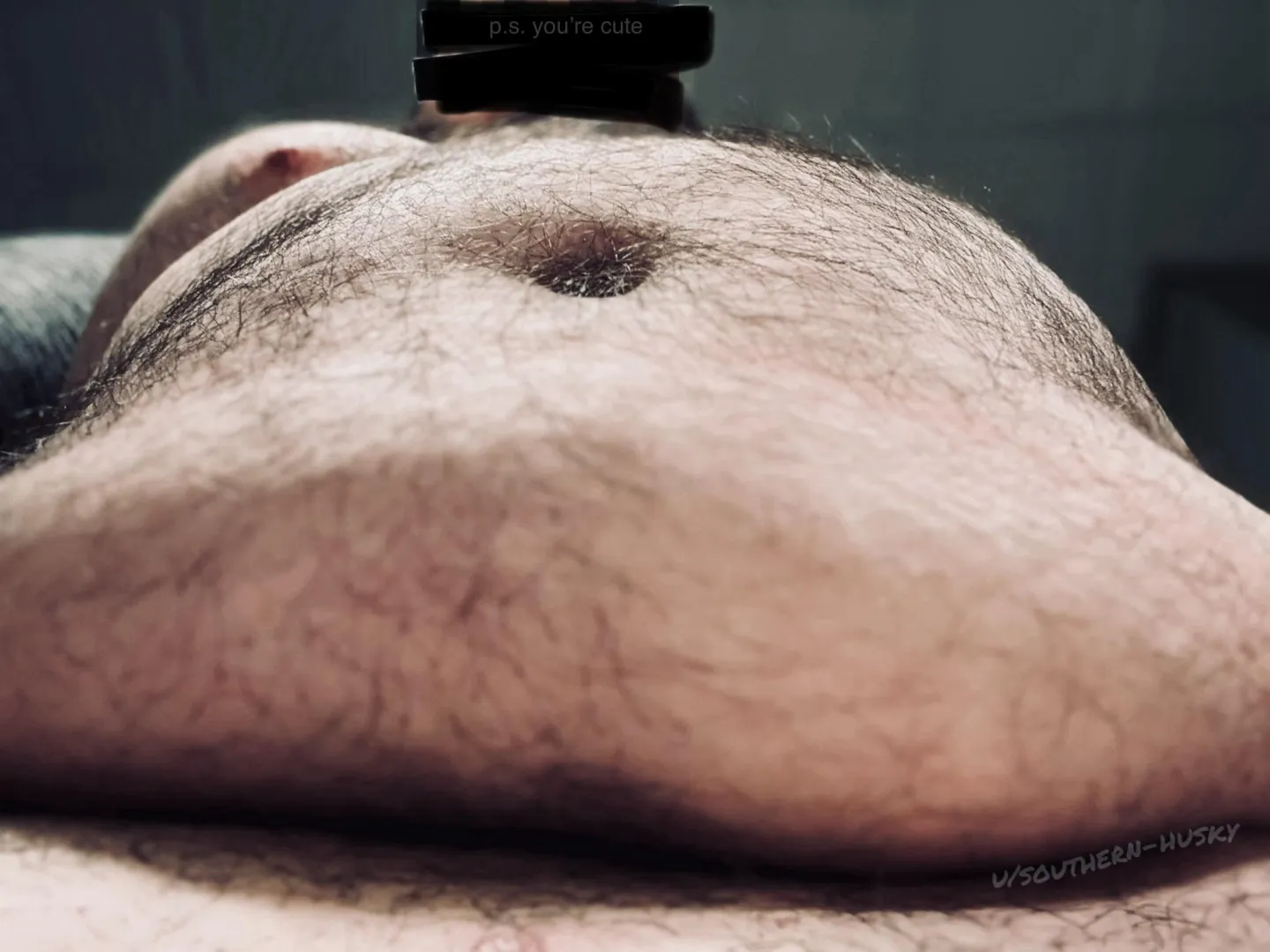 hey you, eyes up here [34 m] (Location) GA posted by southern-husky