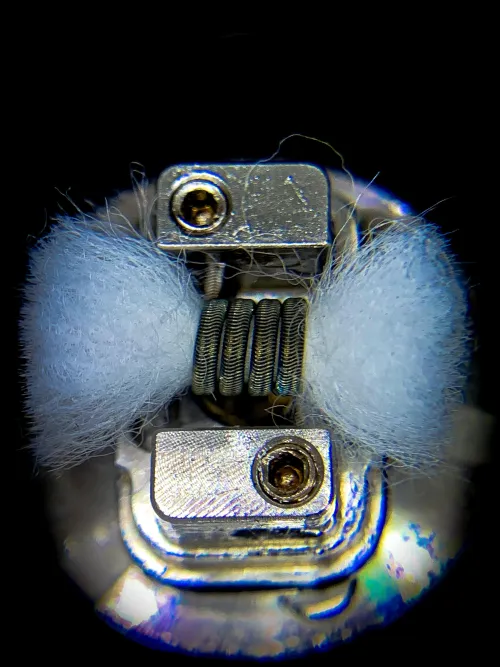 Heylow everybady by ProfessionalOrder622