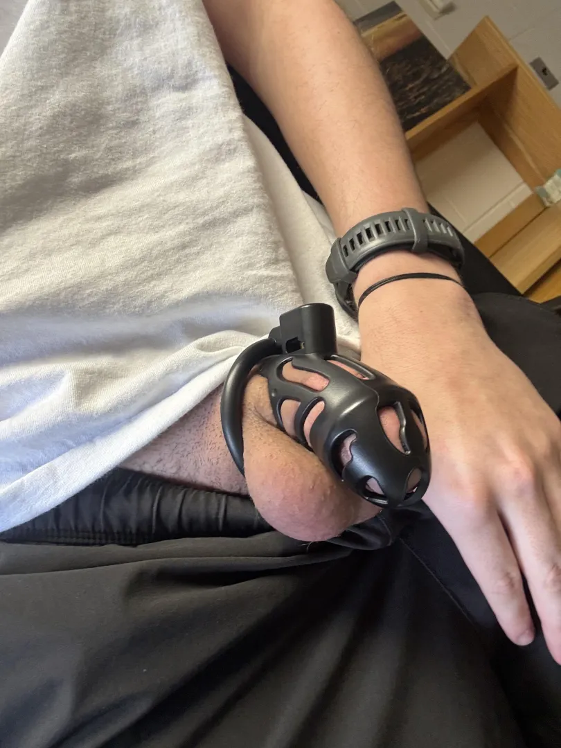 Heyy I’m back~ I need 50 votes to get my freedom so how about you help me out? posted by Alfredo_thecrab