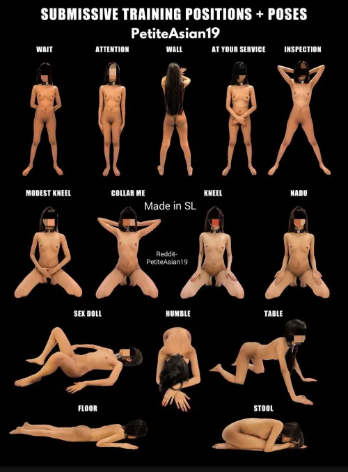 Hi guys meka magema slave training poster eka. Oyala kamathi widiyakata share karaganna  by PetiteAsian19