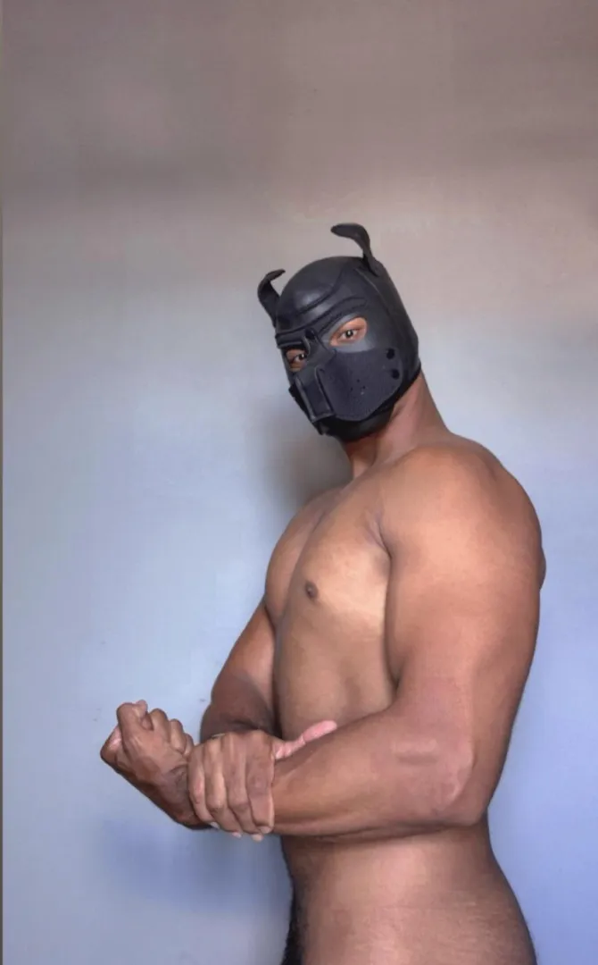 “Hi, I’m Cooper, New puppy here… posted by puppy_cooper