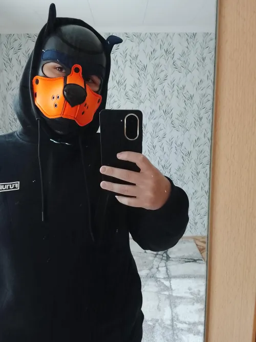 Hi puppies by liva_18