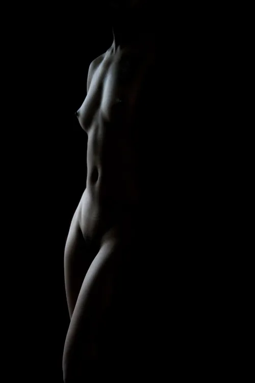 High Contrast Torso by GrayMan-89