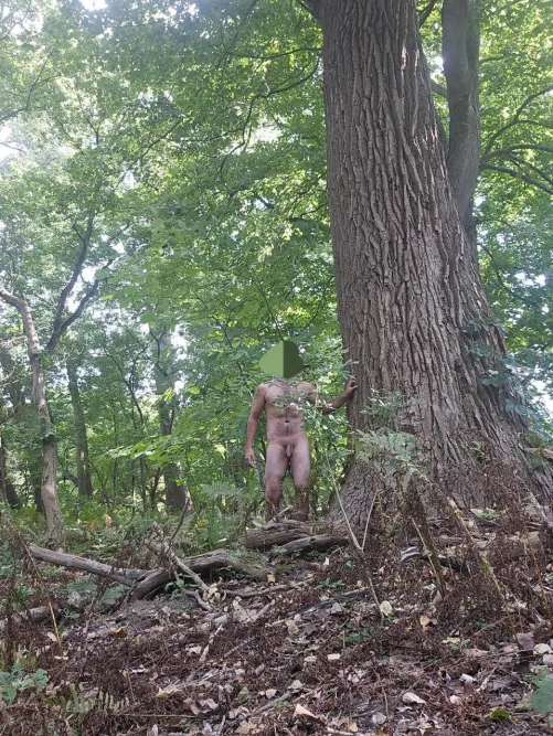 Hiking out behind the house by Street-Blueberry-259