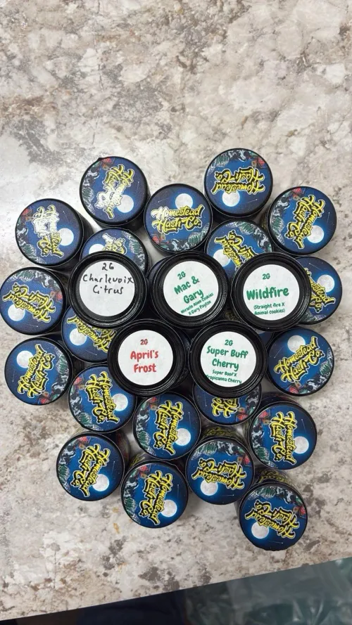 Homesteads latest drop by Wild_Environment_440