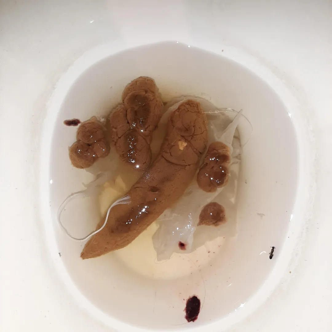 Honey, here's the natural soap I made for you, so you can take a bath. posted by Micasol_queen