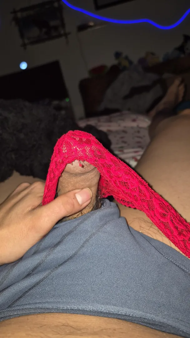 Horny in panties, morinville posted by Alternative_Page9263