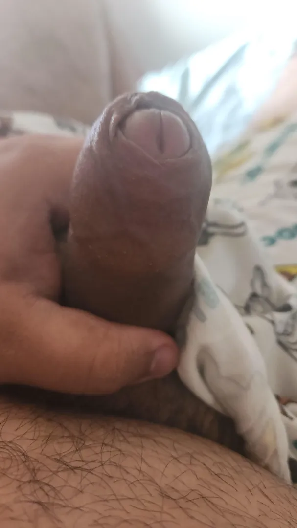 horny right now need to jo with phimo bros posted by Unlucky-Session-6642