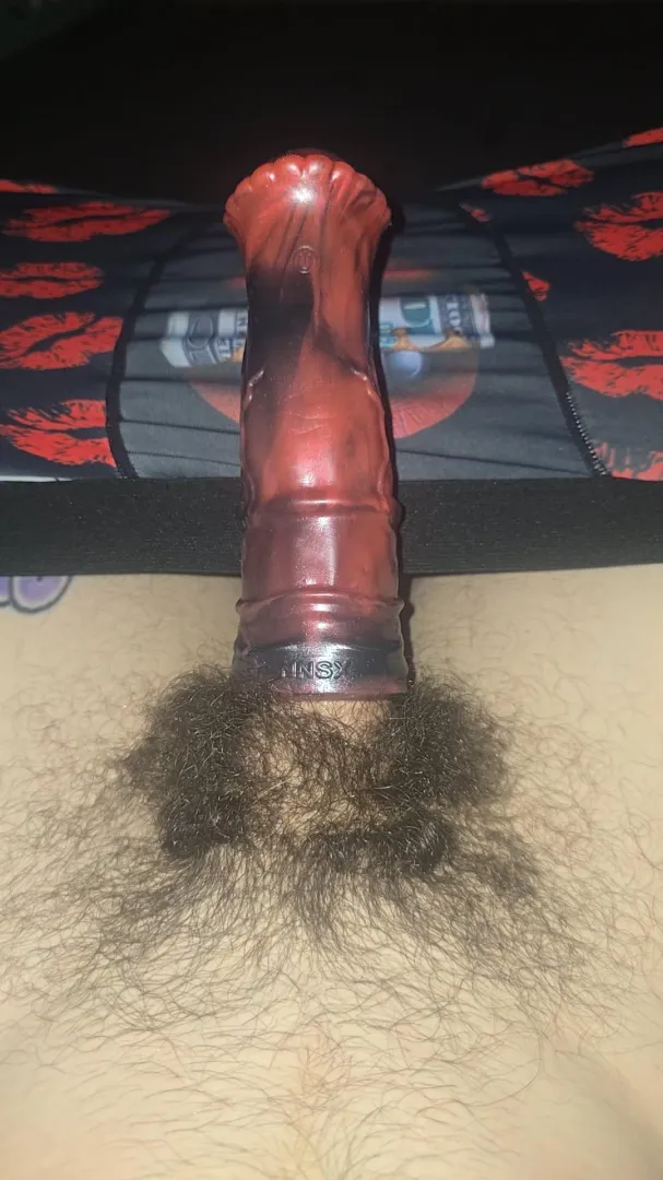 Horse sleeve posted by LowNo4971