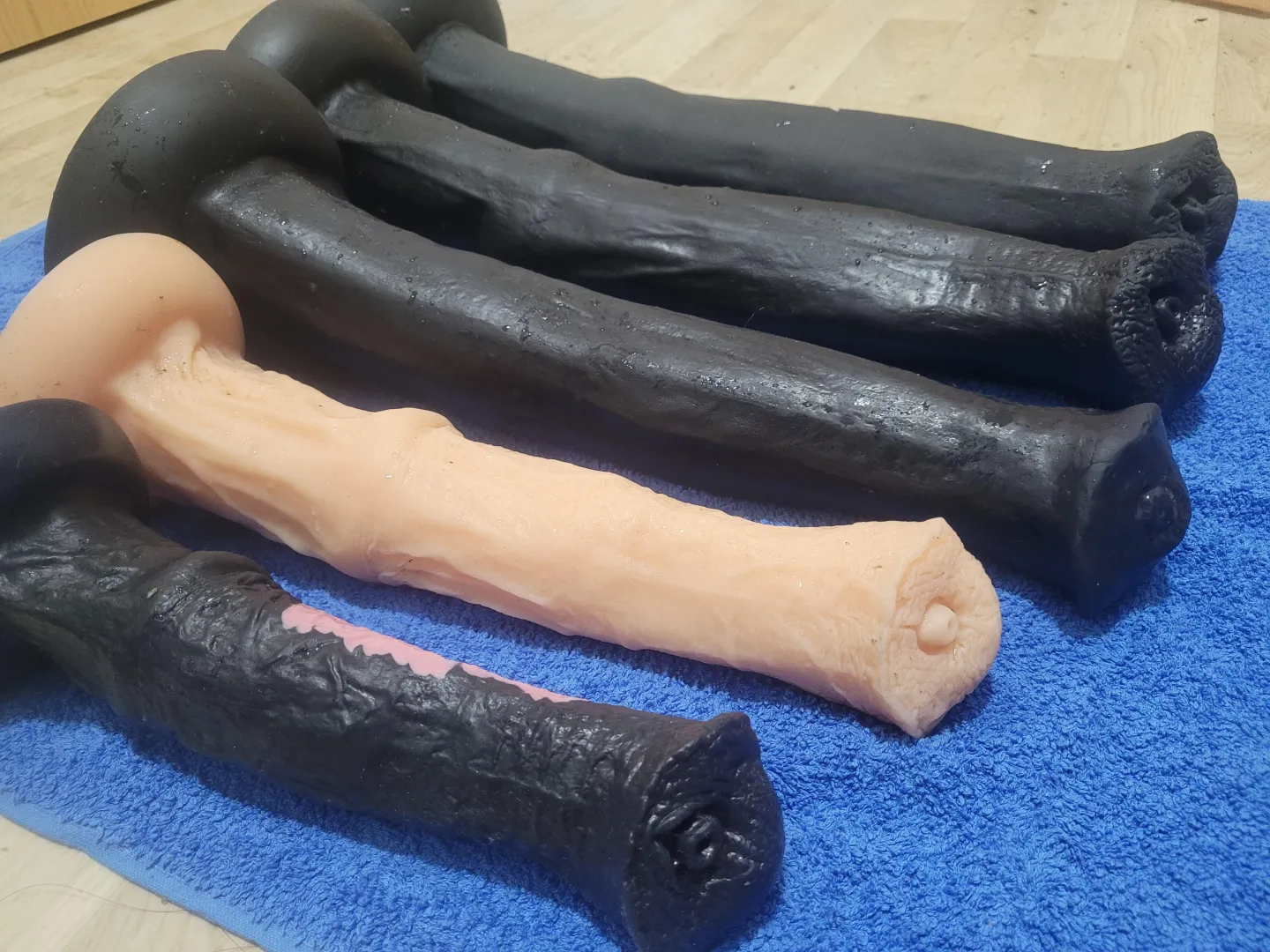 Horsedildos posted by RoundWedding8363