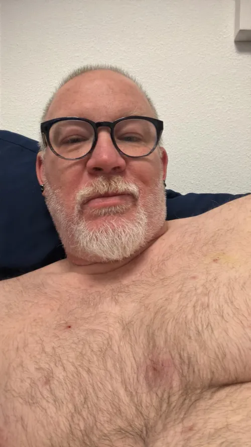 How are my Bears doing today? by ohhmrwilson1220