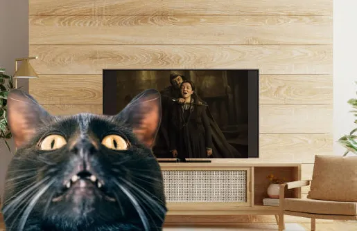 How do I get my cat to stop ruining my tension? posted by Sleve__McDichael