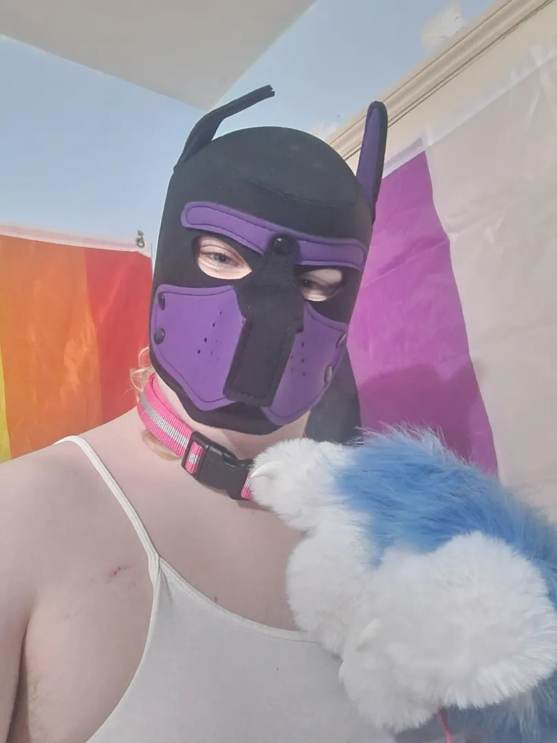 How do yall feel about chubby non binary pups~? posted by GenericGamer192