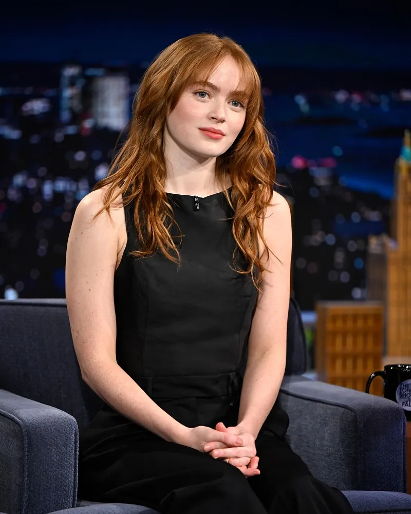 How do you picture you with Sadie? (Details) posted by Mediocre_Site9066