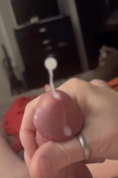 How do you start your day? by Illustrious-Address4