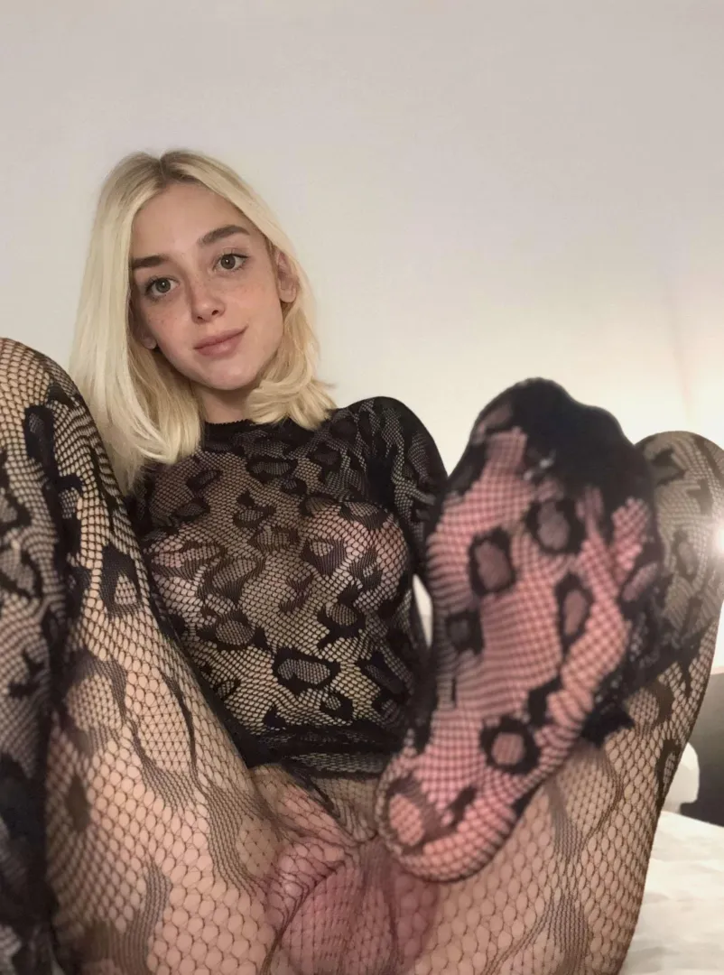 How many times have you cum to my videos? posted by tranzdoll