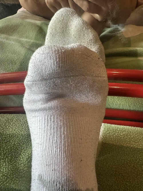 How they smell? by PlantLover_72