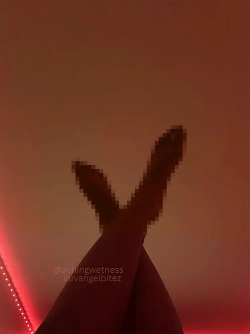 how triggering is this for a loser like you? ✨ by iluvangelbitez