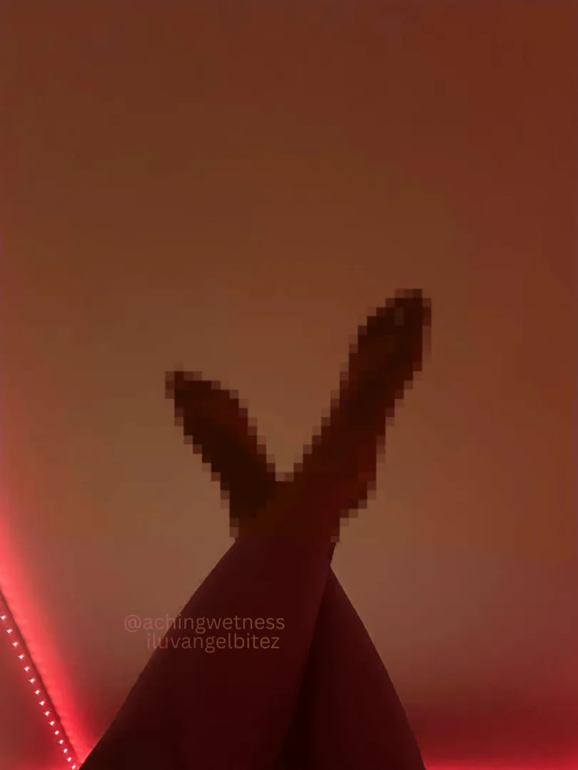 how triggering is this for a loser like you? ✨ posted by iluvangelbitez