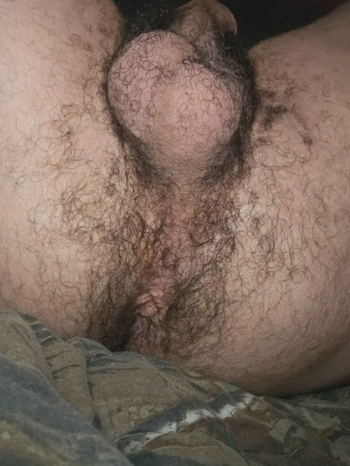 How's it? by Jeeperoh