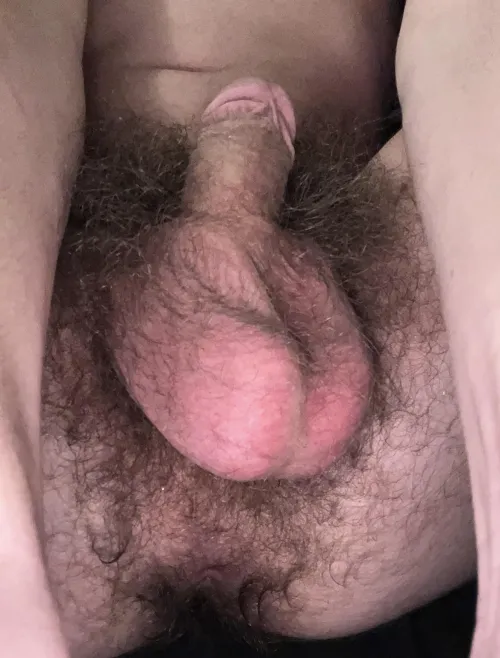 How’s my softie by Old-Fan-6083