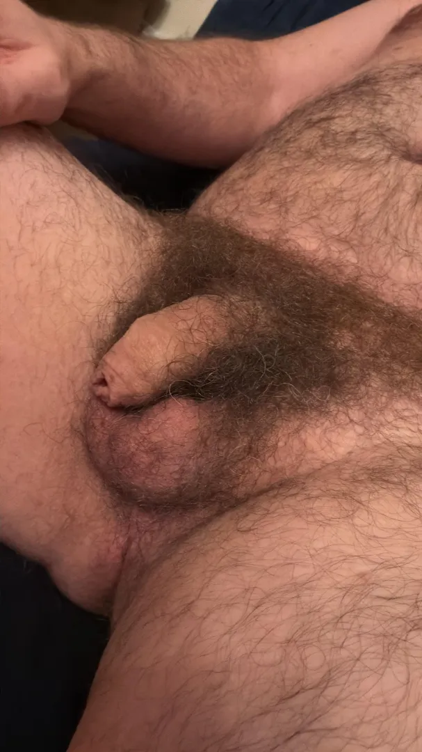 How’s the view posted by hornypaul333