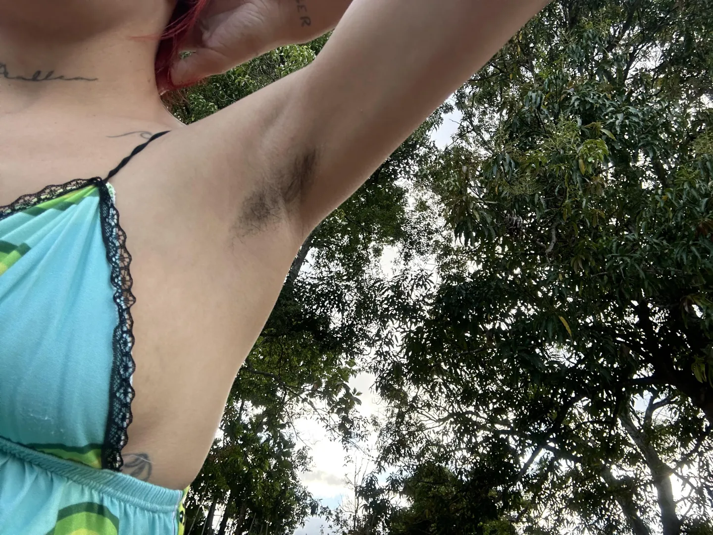 Hoy salieron a tomar el sol. posted by xiangelic