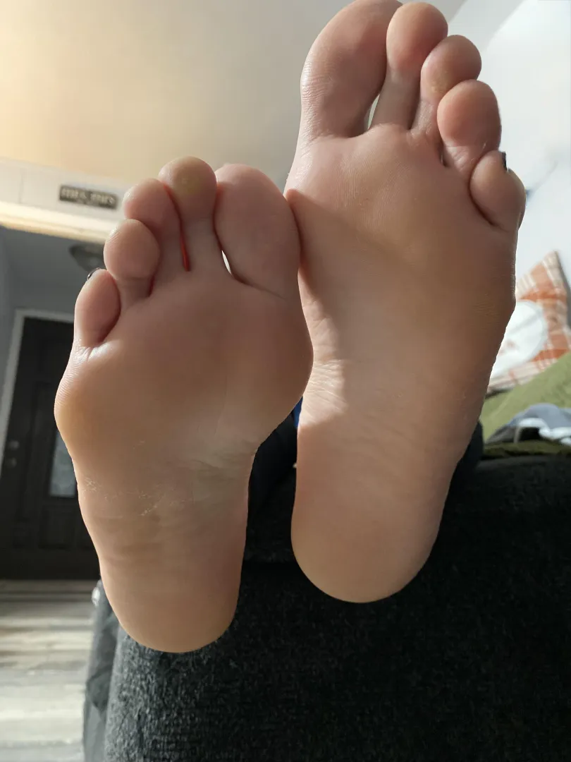Hubby loves my toes but I know there are sole lovers out here. Which are you? posted by Hot_Mess_Mama8617