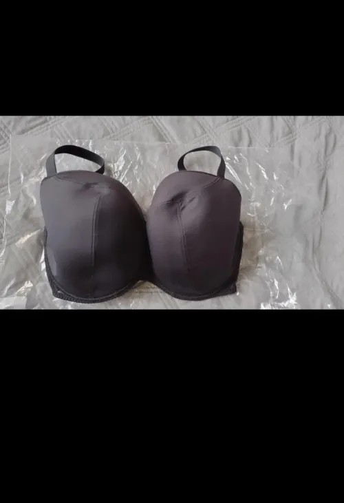 Huge one by Scary-Fisherman-1920