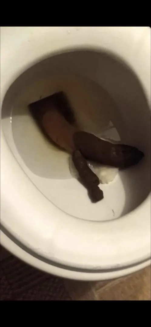 Huge one posted by SpecialistStill4154