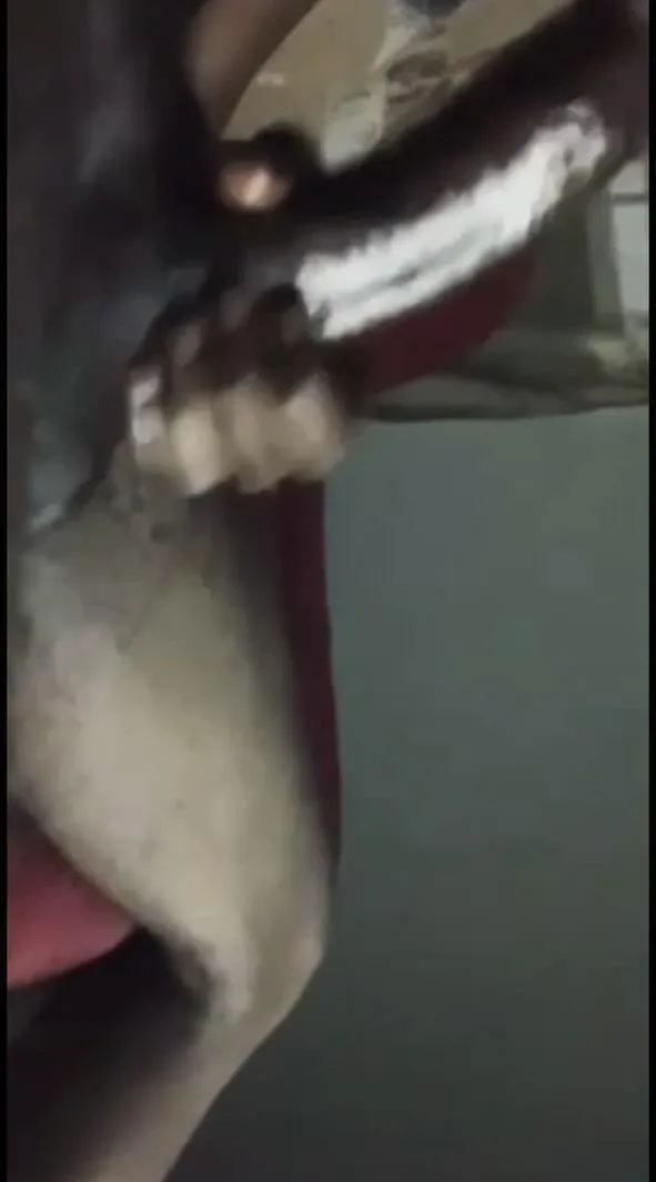 Hung daddy 4 u (30) posted by DifferentAnywhere980