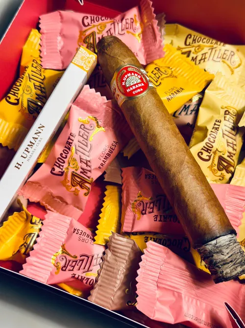 H.Upmann no.2 - around 4 years old. Paired with great coffe (DAK roasters) delivered a sublime experience. by jontekparowa