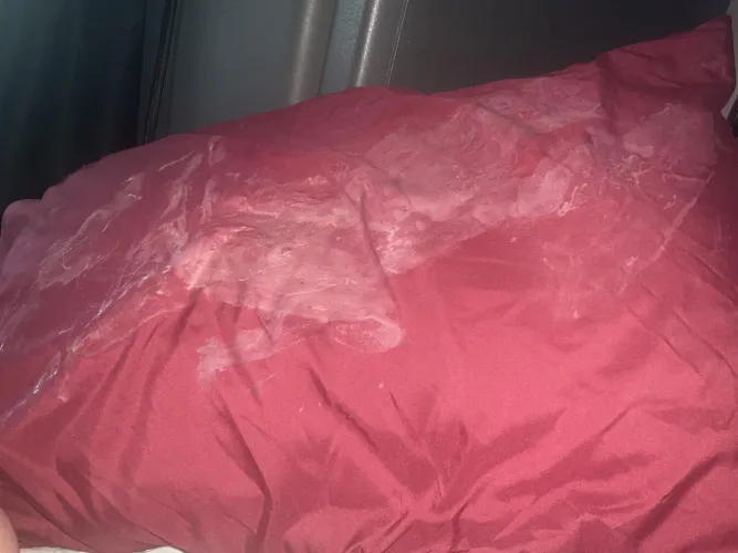 Husbands pillow in his semi truck by Couple4888