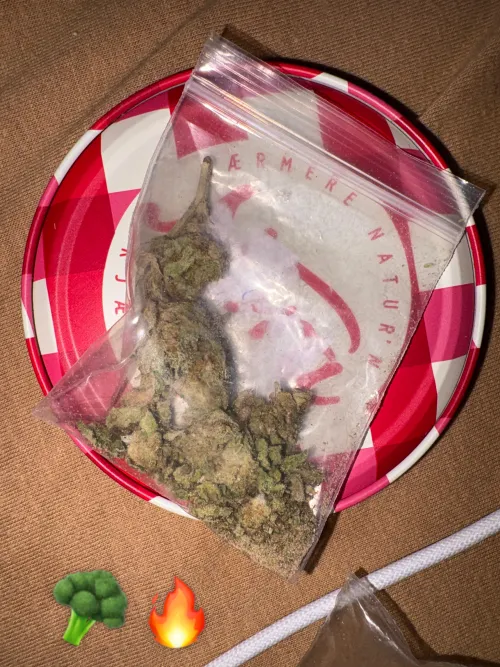 Hvilken type vare kan dette være by Major-Bag-1238