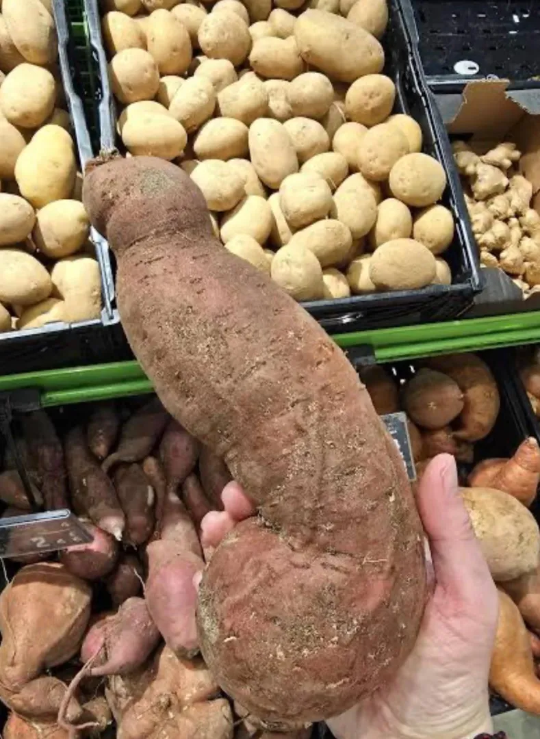 i <3 tators posted by spicywetturkey