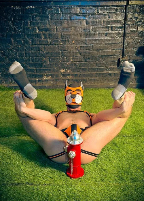 I accidentally sat on a hydrant by puptang