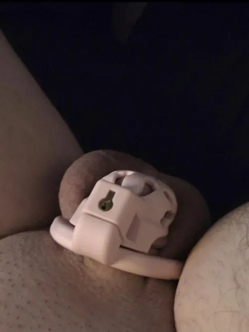 I can barely fill this pretty pink cage. Wife has me locked because I can't satisfy her anymore. It's so embarrassing and emasculating, so why am I so turned on?! by limp-clitty-cuck