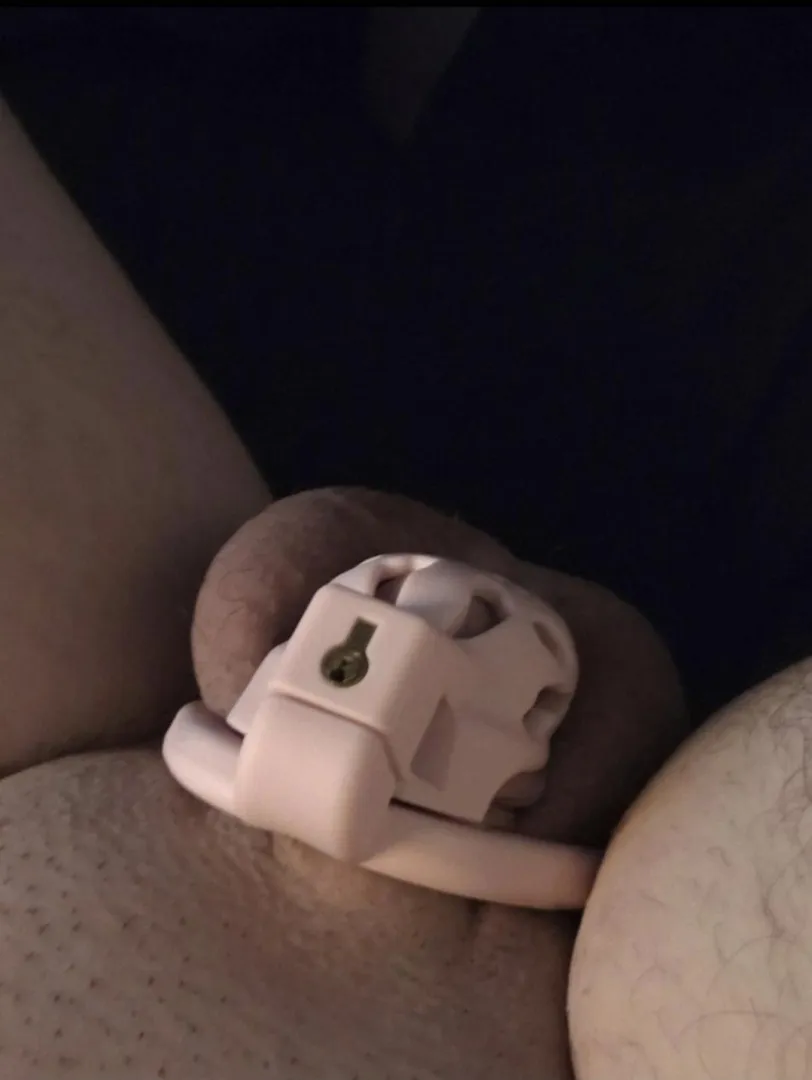 I can barely fill this pretty pink cage. Wife has me locked because I can't satisfy her anymore. It's so embarrassing and emasculating, so why am I so turned on?! posted by limp-clitty-cuck