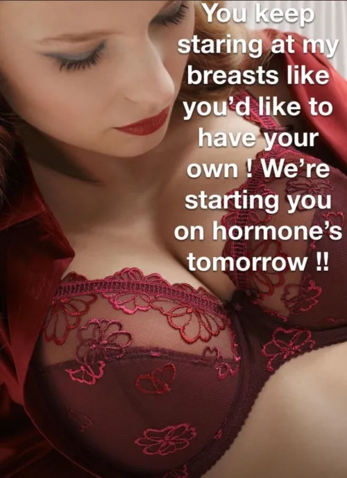 I can’t wait till I can start I can’t wait to fill my bra cups by Dangerous-Chair-190