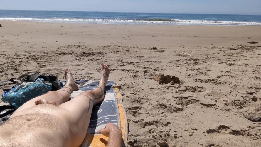 I couldn't help myself. by Silent_Lynx_2736