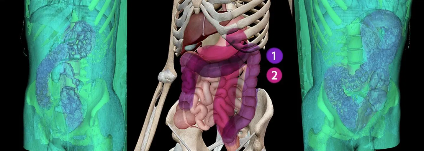 I cracked the code! How to take large depth toys. posted by ButtConnections