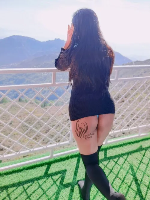 I don’t have any sugar but I can still be a good neighbor by Popular_Smell4024