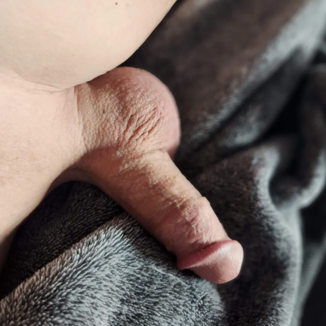 I enjoy seeing all the penises! posted by No-Umpire72